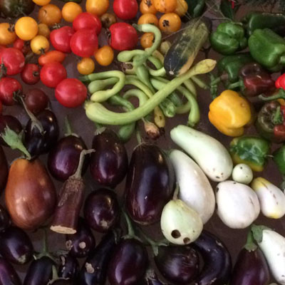 des bons légumes du jardin