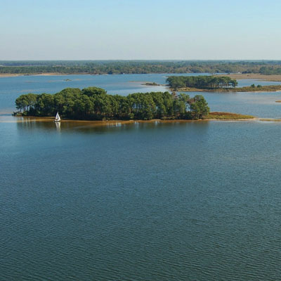 Lac de Lacanau, Ile aux oiseaux