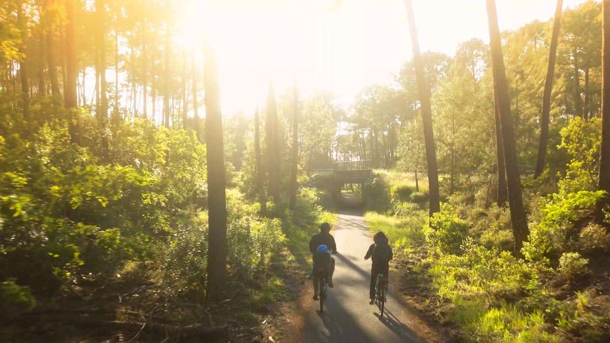 Vélos loués sur la piste cyclable vers Lacanau Ville, Dans la Forêt de Longarisse